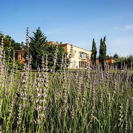 Di Carlo & 4* Monte Grimano Terme